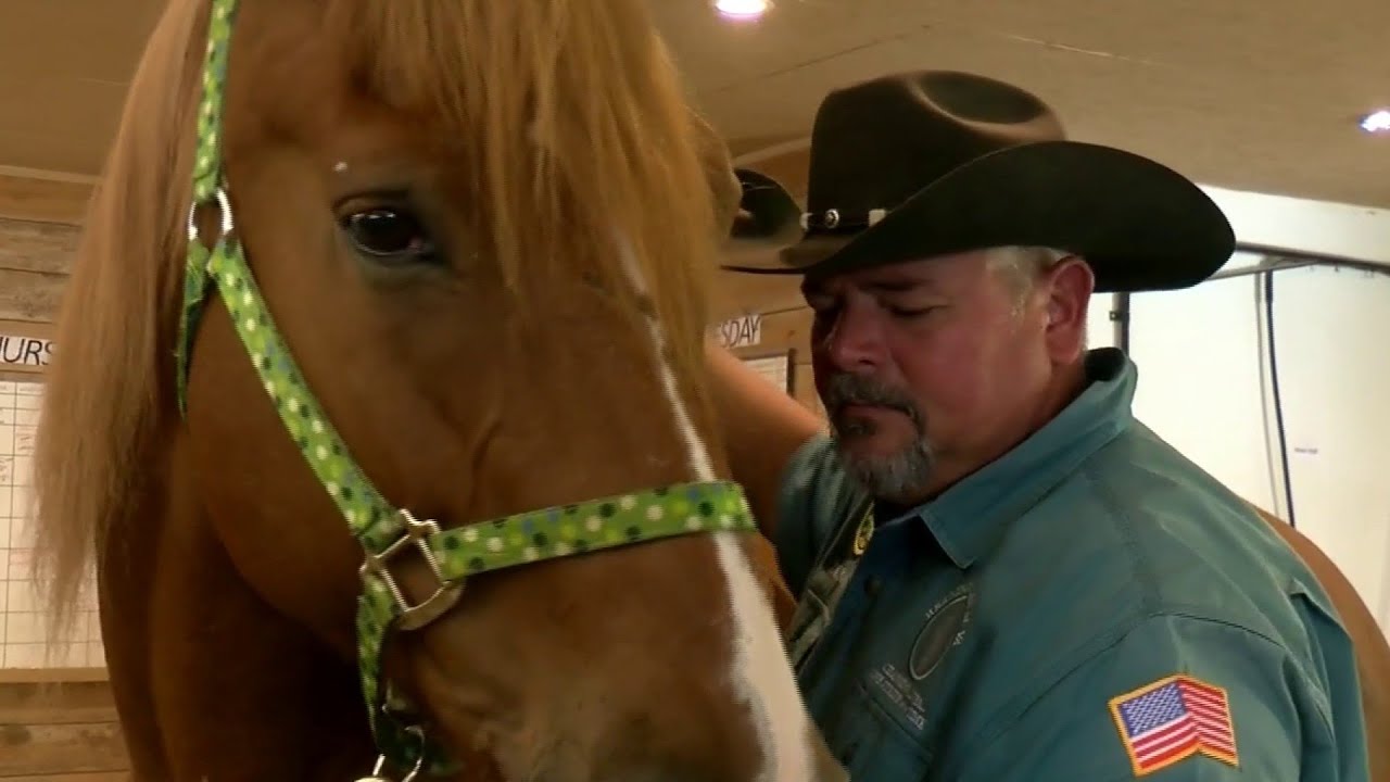 Horses helping veterans battle depression