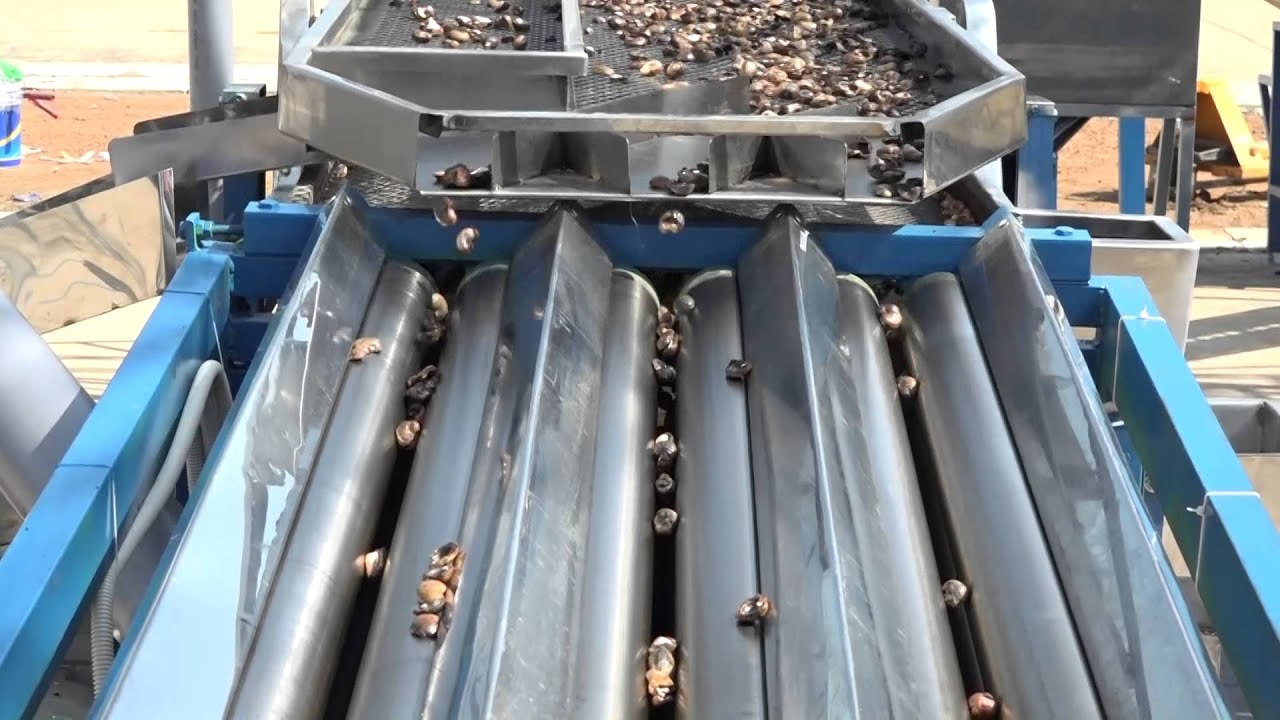 cutting machine 2 4