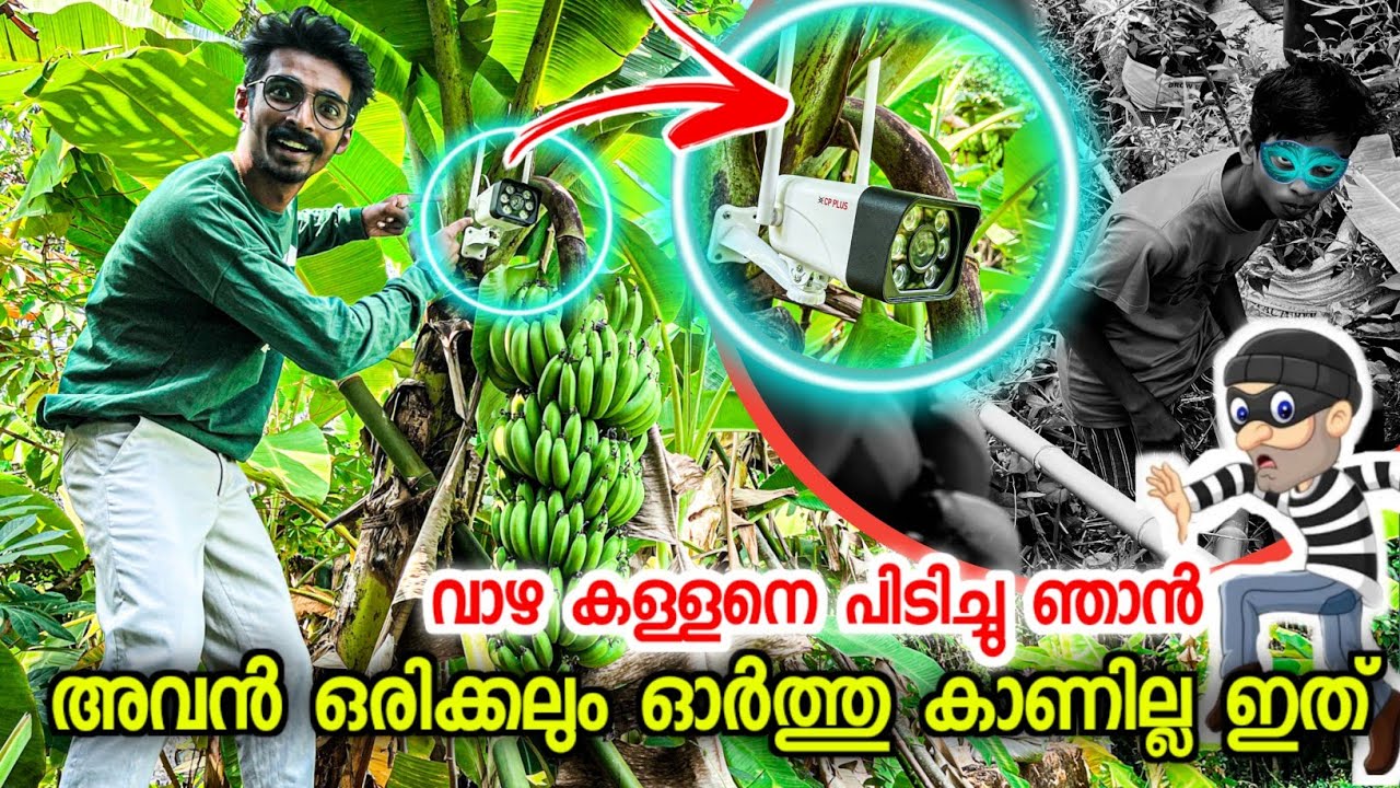അവൻ ഇത് ഒട്ടും വിചാരിച്ചില്ല| 4G Sim CCTV Camera for home | 4G wifi camera | CCTV | Techcatcher