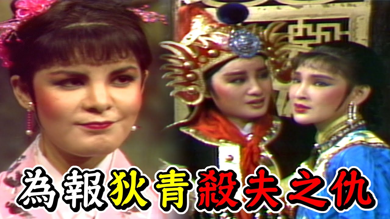 【經典歌仔戲】婢女來頭不小？為報狄青殺夫之仇｜楊麗花歌仔戲｜萬花樓(1983)