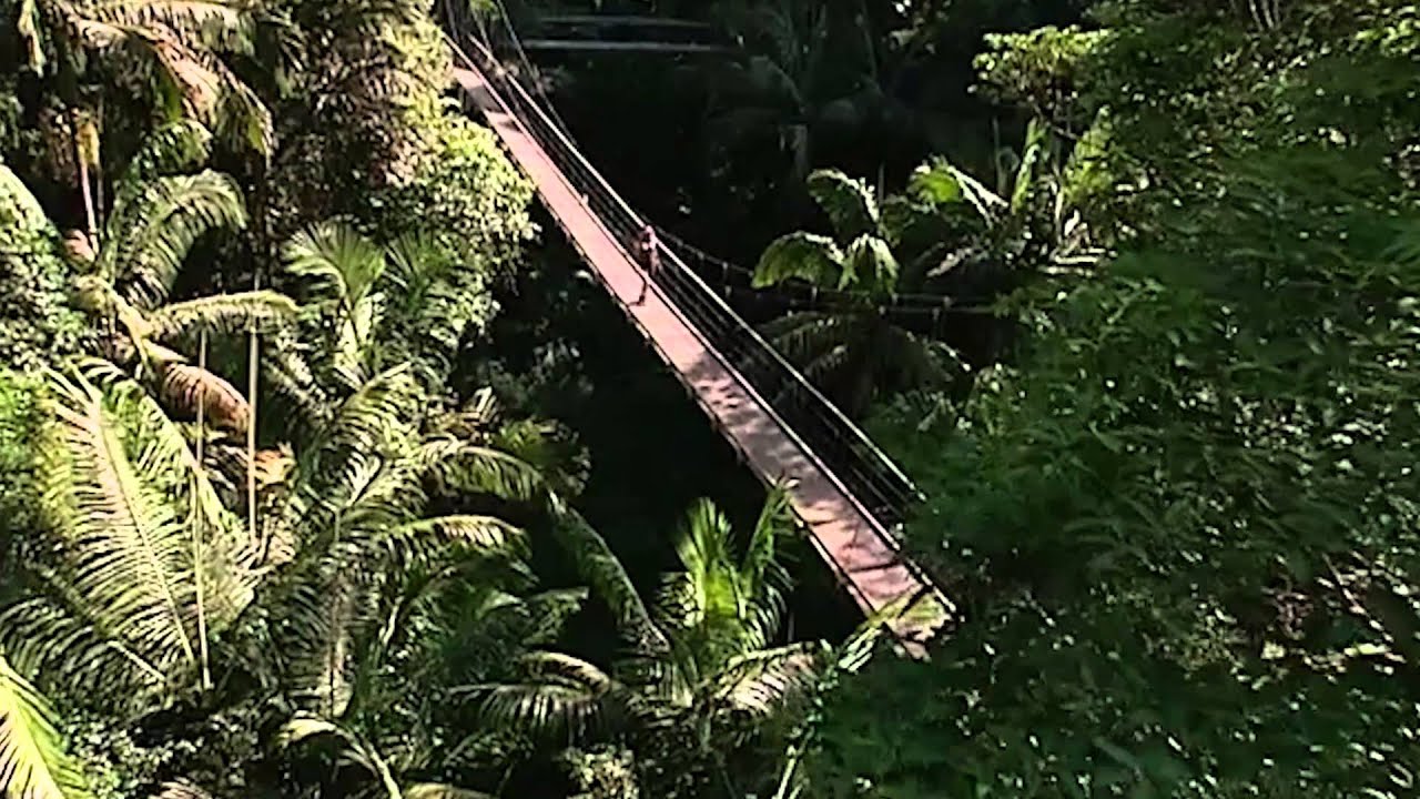 Nicola's Bitchy Departure For David | I'm A Celebrity... Get Me Out Of Here!