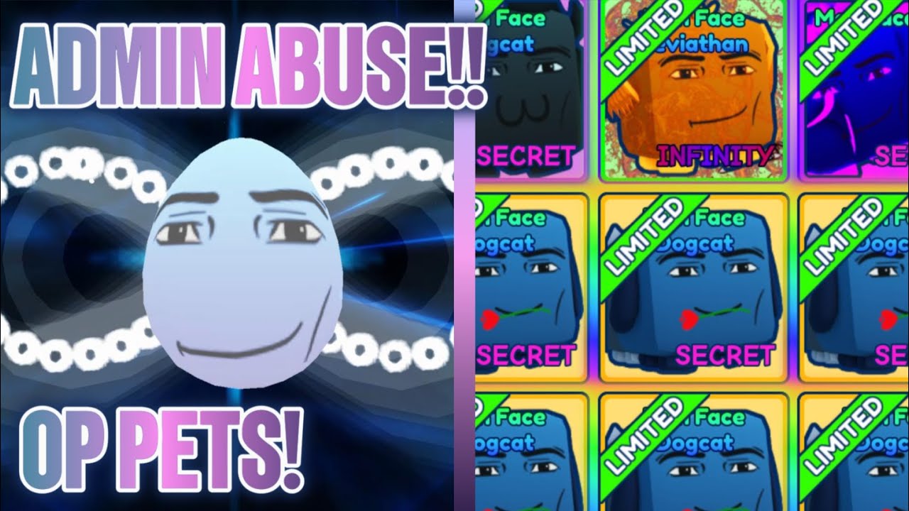 I GOT AN INFINITY PET in ADMIN ABUSE in BGSI!!