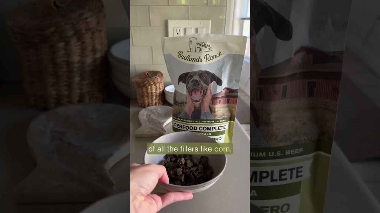 Kibble vs. Superfood Complete&mdash;A Dog Owner's Honest Experience!