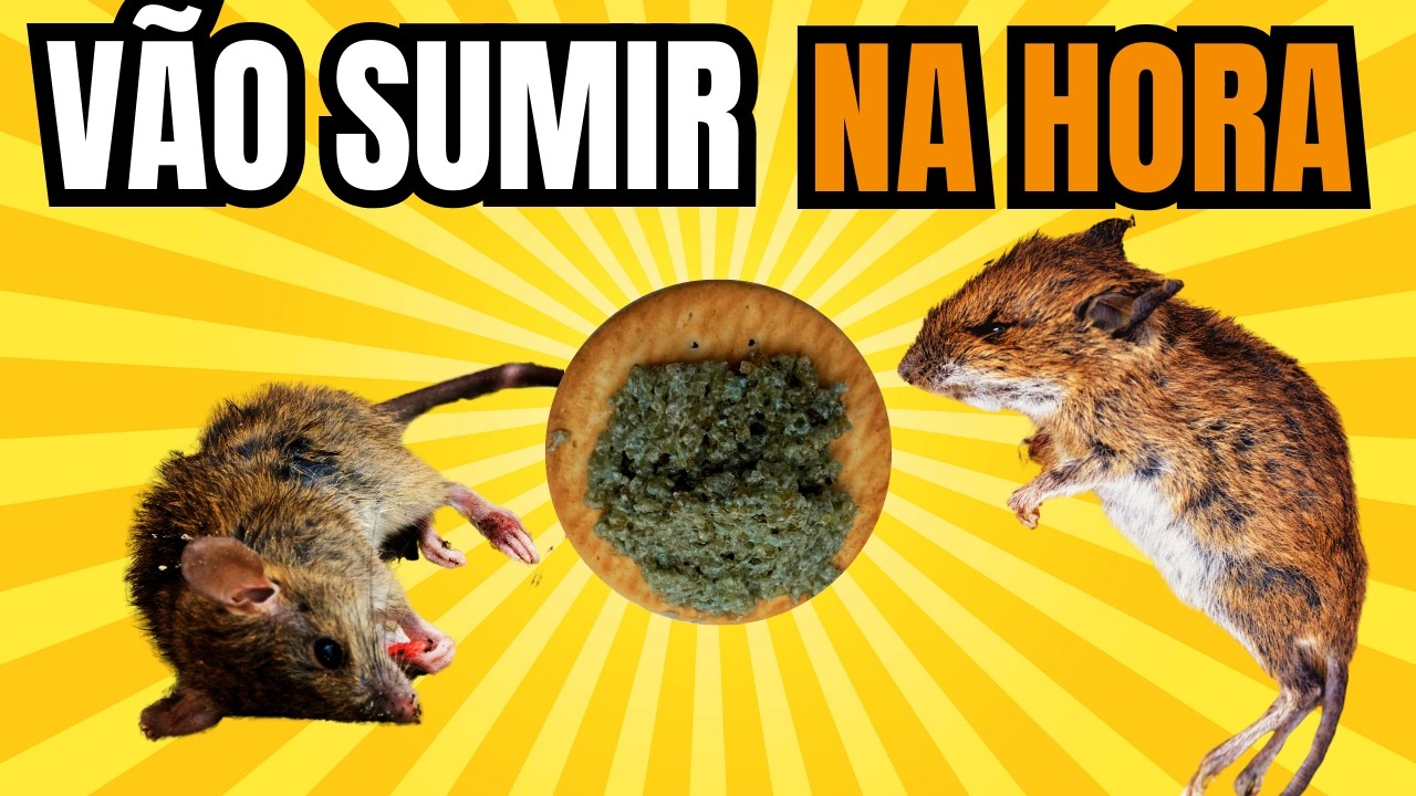 ISSO VAI FAZER SUMIR RATOS 🐭 E BARATAS | TUDO NO MESMO DIA - Depois disso me livrei deles