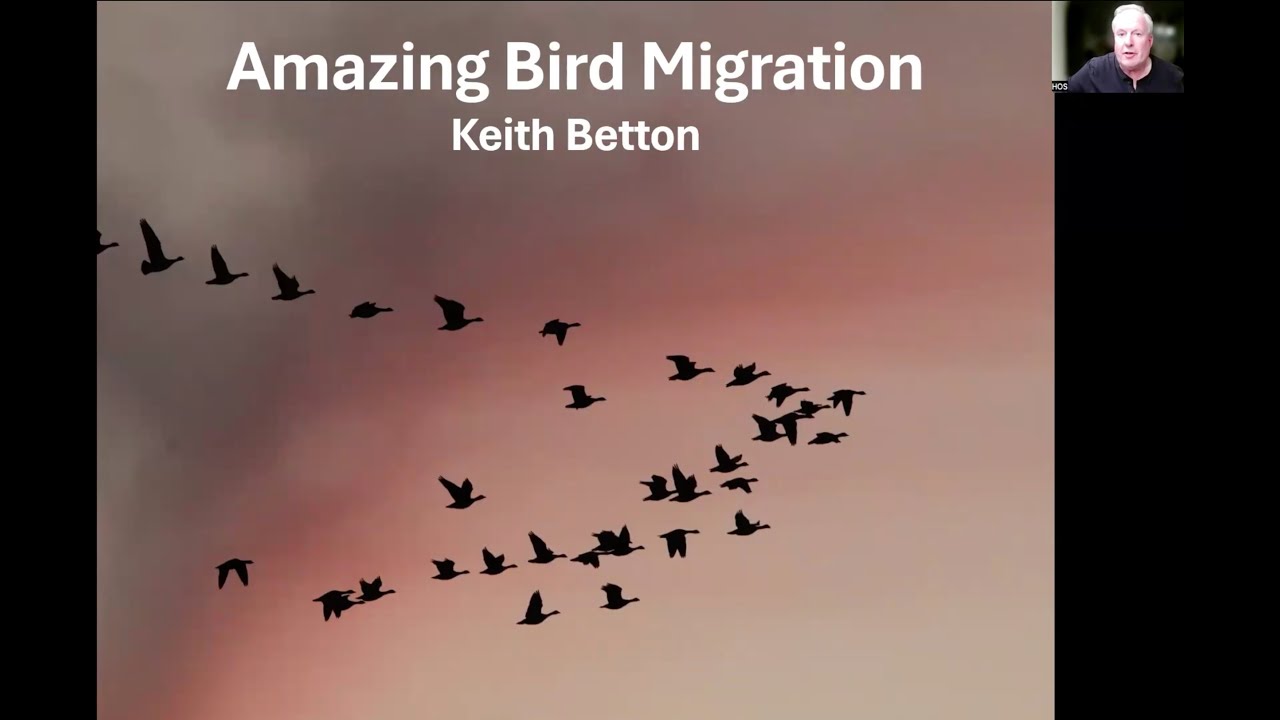 Amazing Bird Migration with Keith Betton