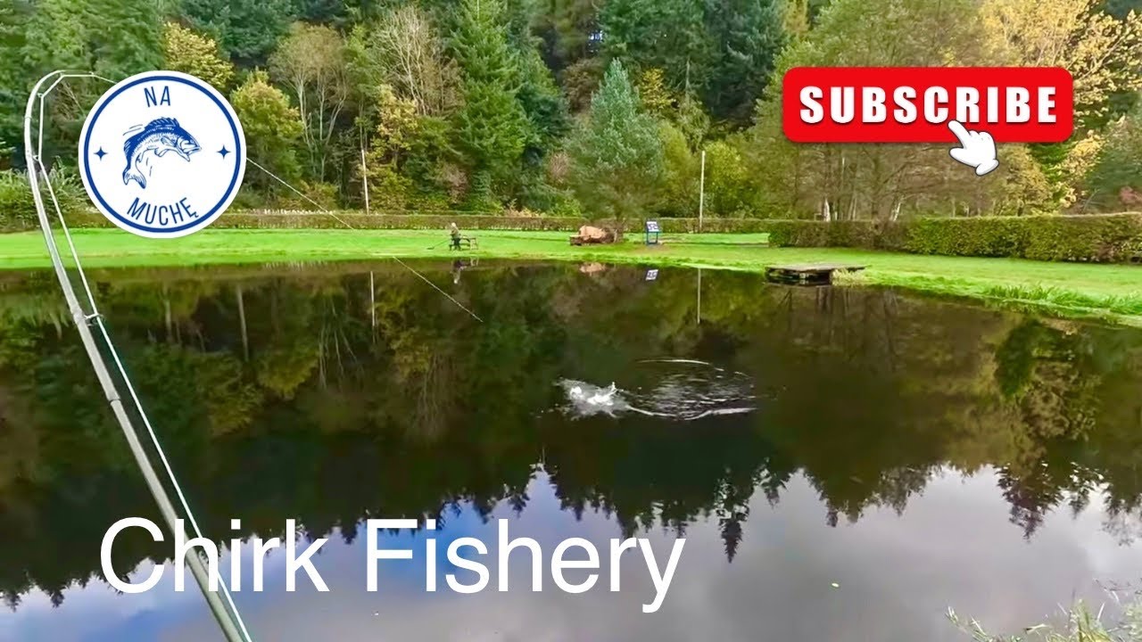 Chirk Trout Fishery - Wędkarstwo muchowe w UK