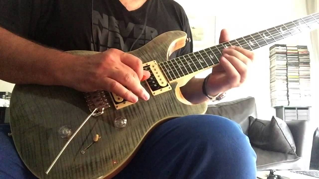 PRS SE Custom 30th Anniversary parte 2