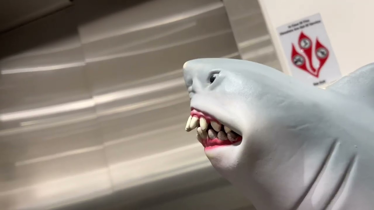 Shark puppet goes on an elevator part 132