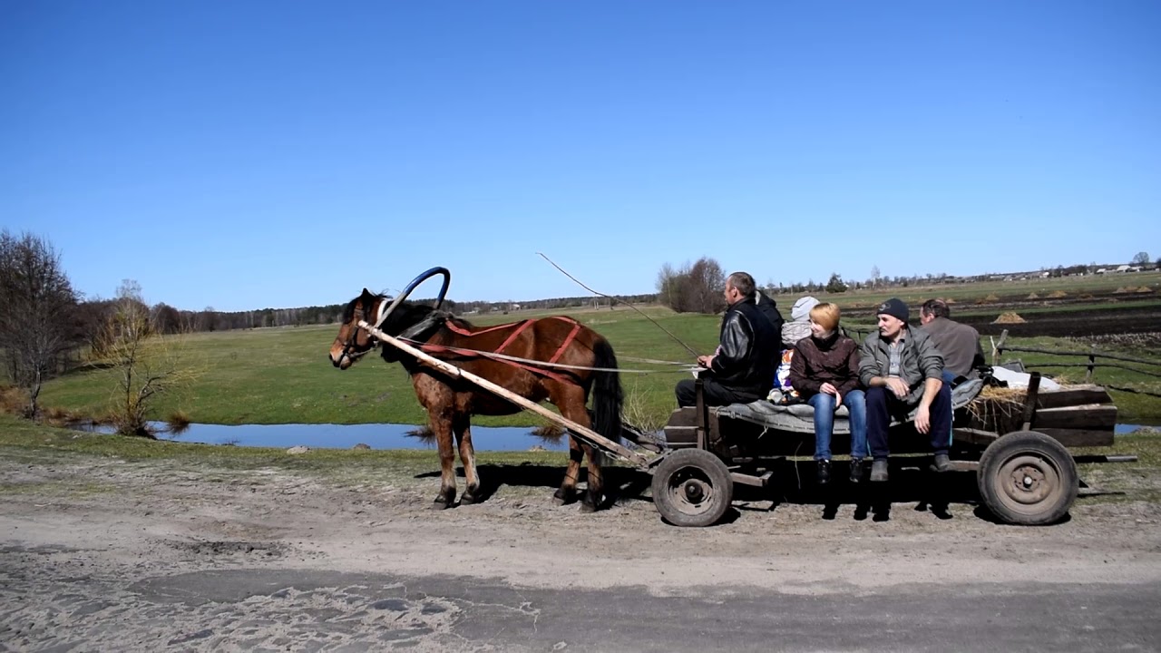 ЕДЕМ ЗА БЕРЕЗОВЫМ СОКОМ ,