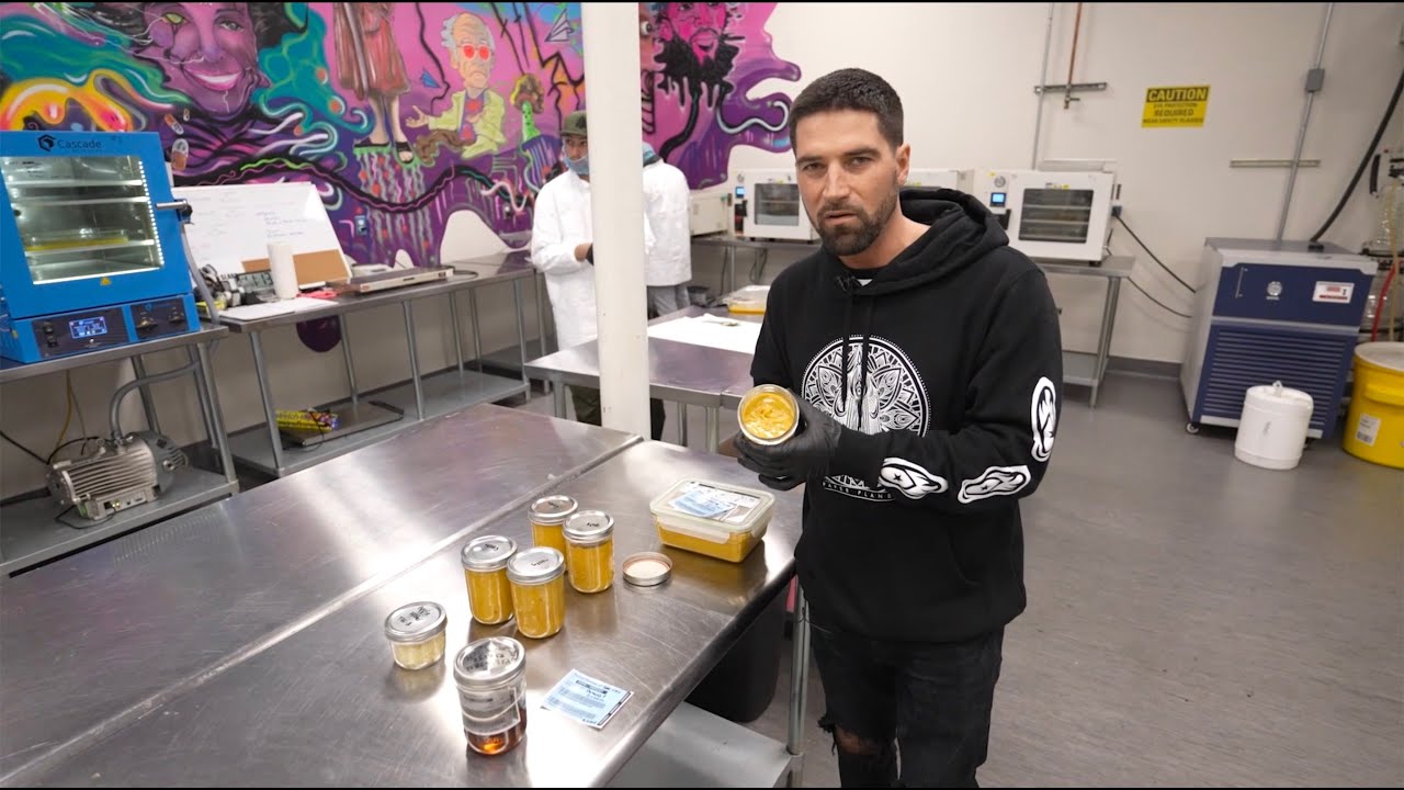 Paper Planes Extracts - CA BHO Extraction Facility Walkthrough