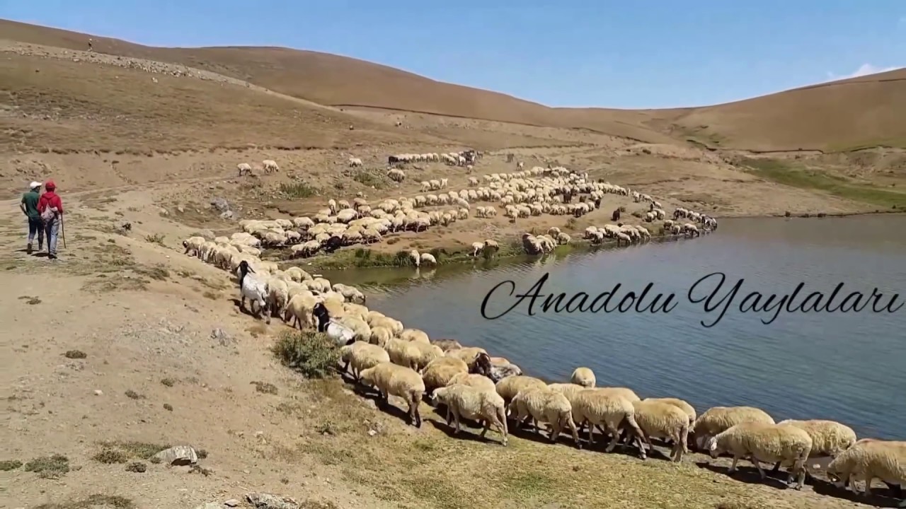#Kadırga yaylası #Trabzon #Gümüşhane yaylaları