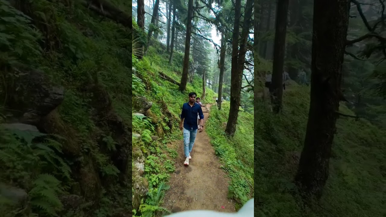 I Love This Moment's🌲&hearts;️#MistyForest #NatureVibes #GreenEscape #ForestMagic #NaturePhotography