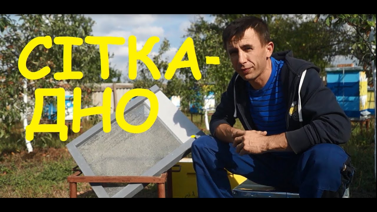 Дно-сітка