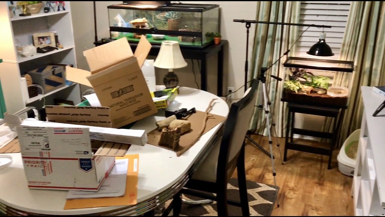 ~I Clean Up My Craft Room and Record It With an iPhone 7~