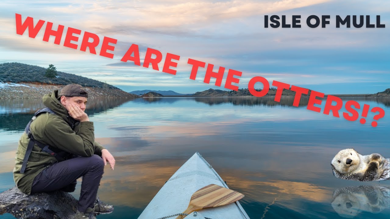 Photography Adventure on Mull - OTTERS? EAGLES?