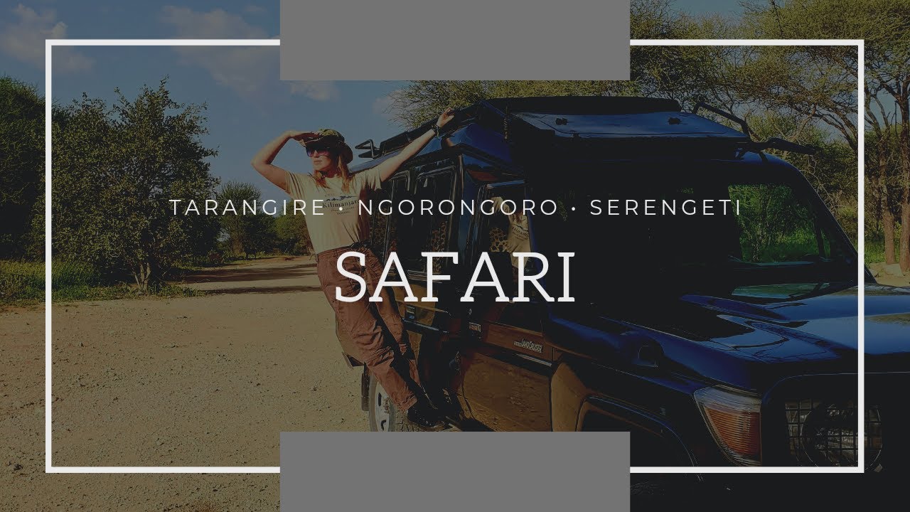 Tanzania vlog 2/4 W poszukiwaniu Wielkiej Piątki &hearts; Materuni &hearts; Tarangire &hearts; Ngorongoro &hearts; Serengeti