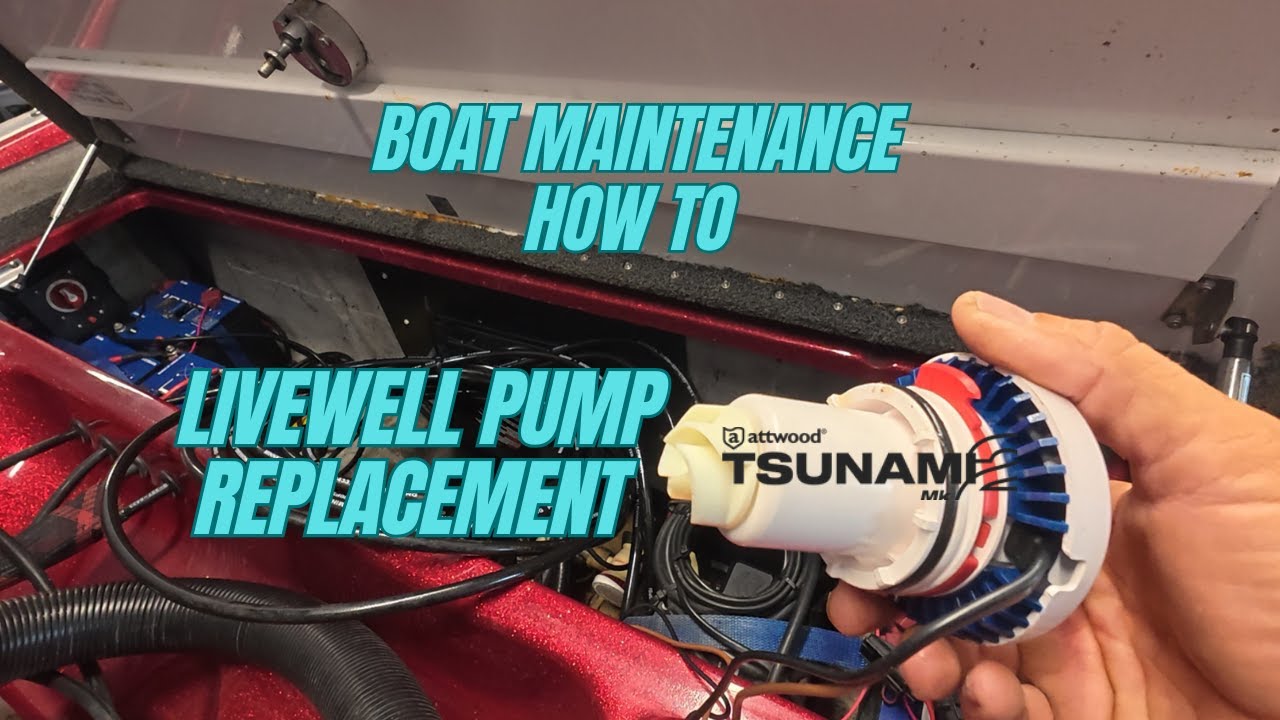 Phoenix Livewell Aerator Pump Replacement | Attwood Tsunami T-800 |