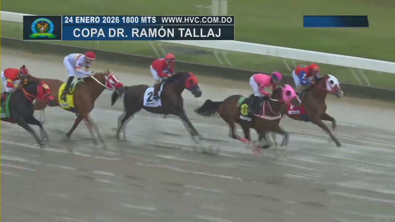 3RA CARRERA 24 01 2026 &uml;Copa Dr  Ram&oacute;n Tallaj&uml; GRACE FROM ABOVE (USA)