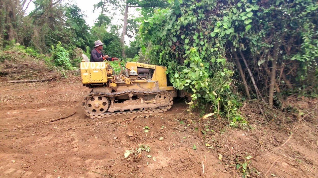 GREAT JOB Started New Project!Dump Truck Pouring Soil Stone By Used Skill Bulldozer Clearing Forest 