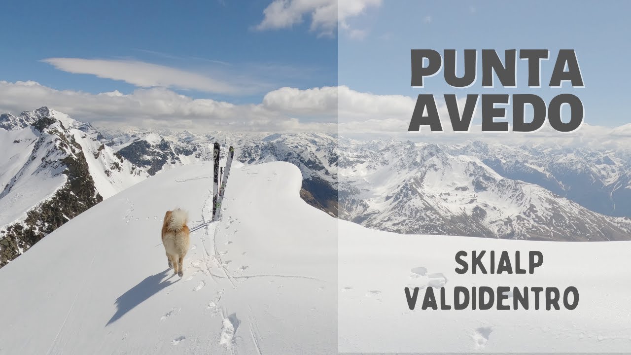 Punta Avedo - Servizio Glaciologico - SKIALP - 4K Stelvio Adventures