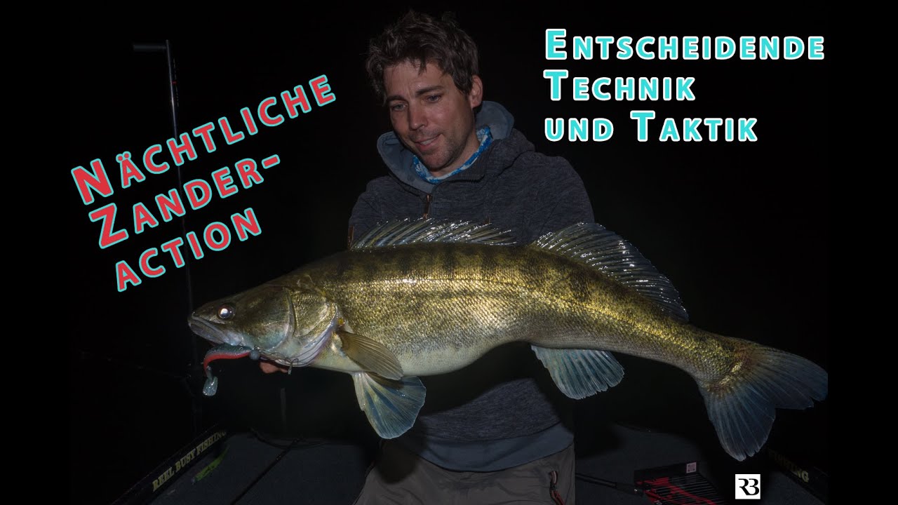 Große Zander angeln nachts mit der entscheidenden Echolottechnik und Taktik