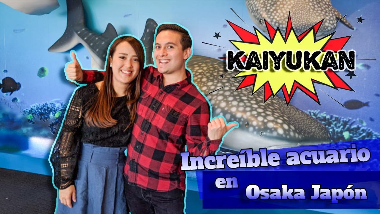 Kaiyukan Acuario en Osaka | Jap&oacute;n [English subtitles | 日本語字幕]