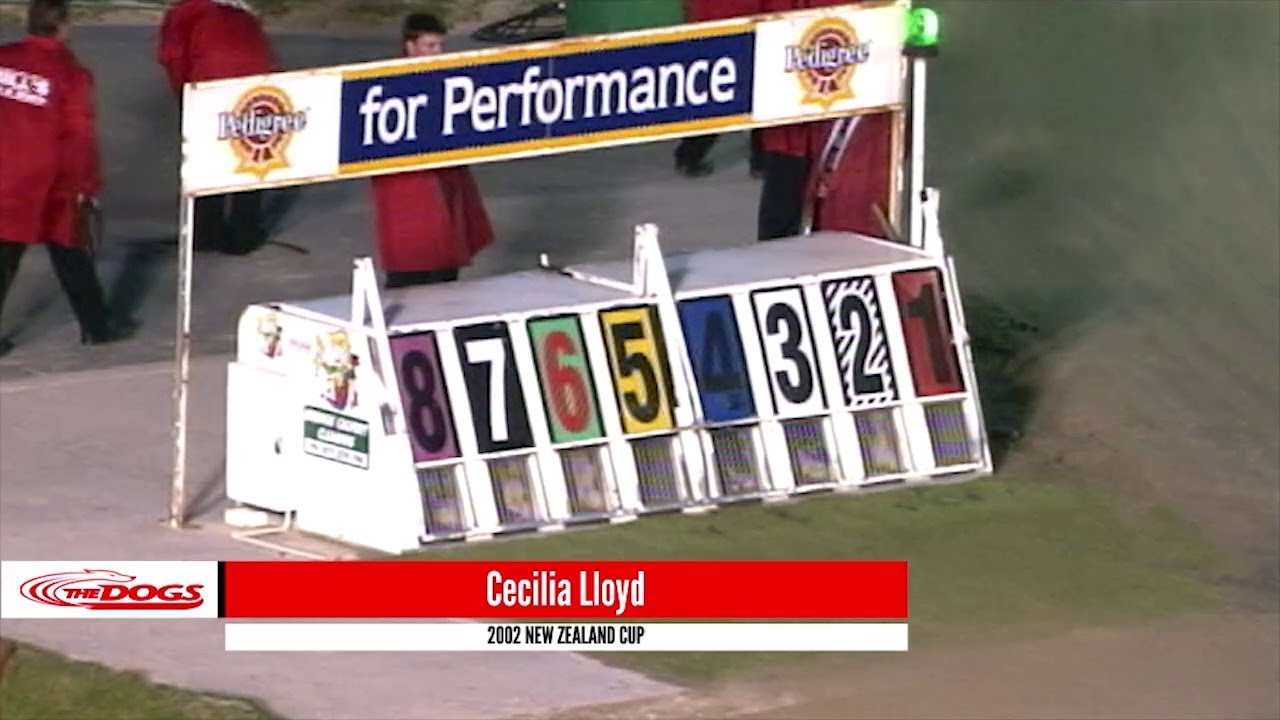 Historic Greyhound Races