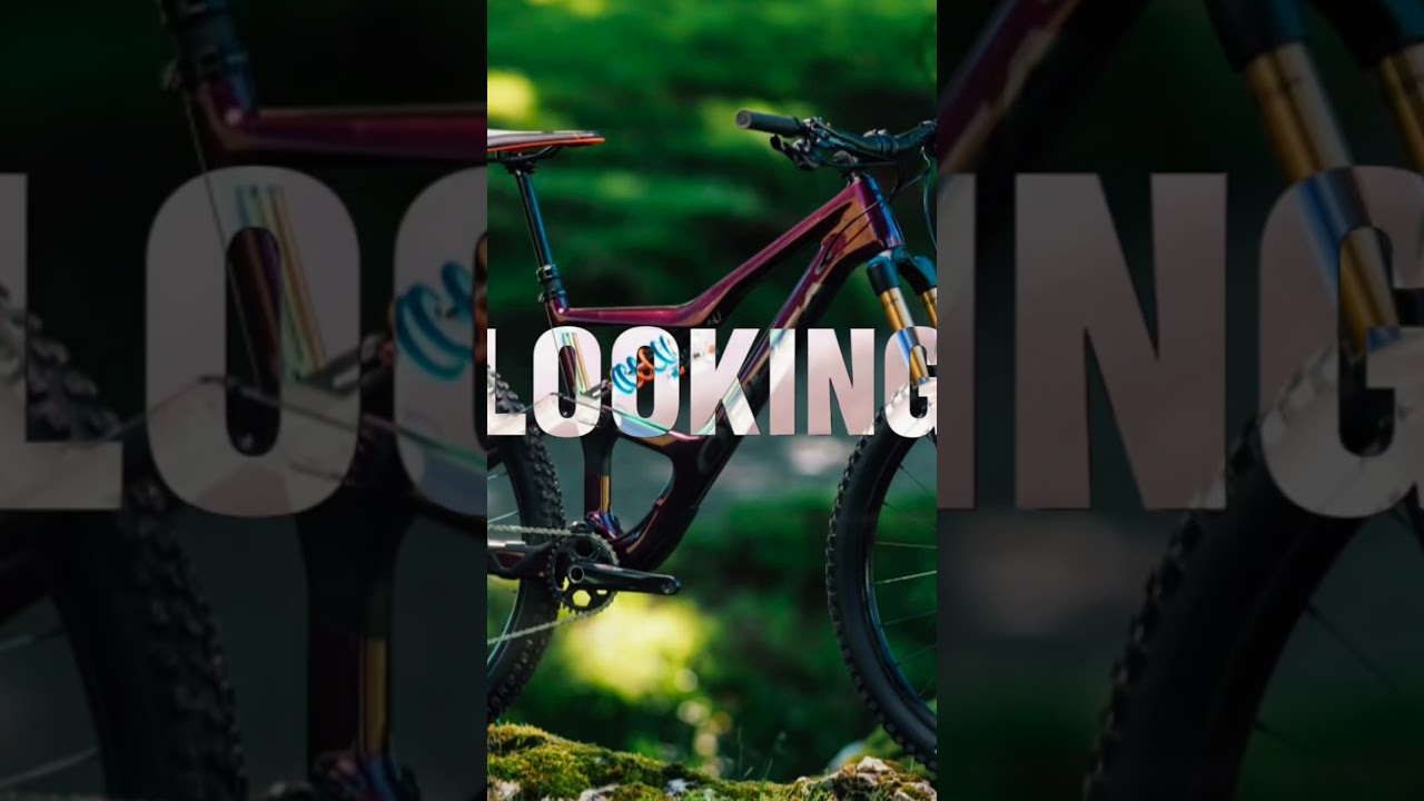 Orbea occam lt