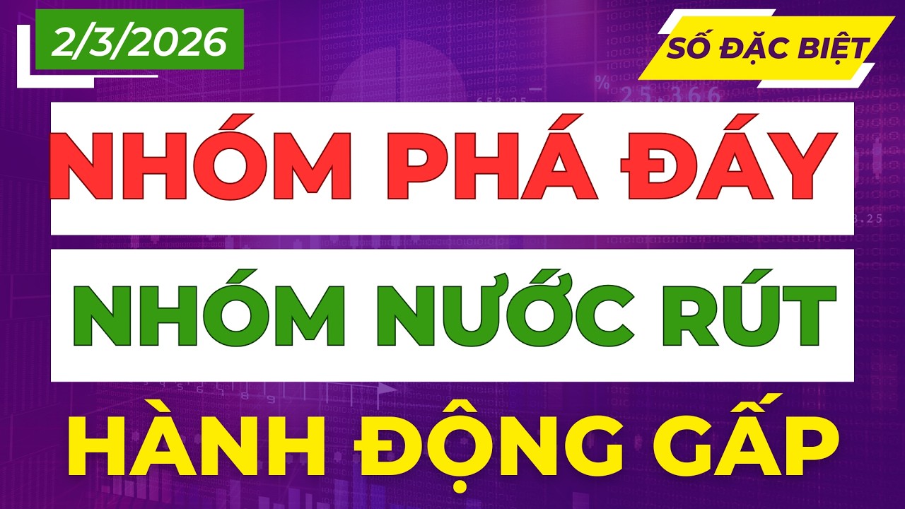 Phân Hóa Cực Sốc: Cổ Phiếu Phá Đáy Hay Nước Rút – Chiến Lược Hành Động Ngay