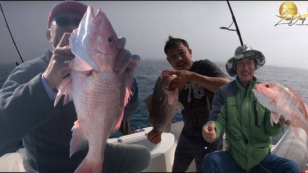 Câu Cá ỏ  Florida Mỹ ★  Câu Cá Khủng ở Mỹ ★ Deep Sea Fishing