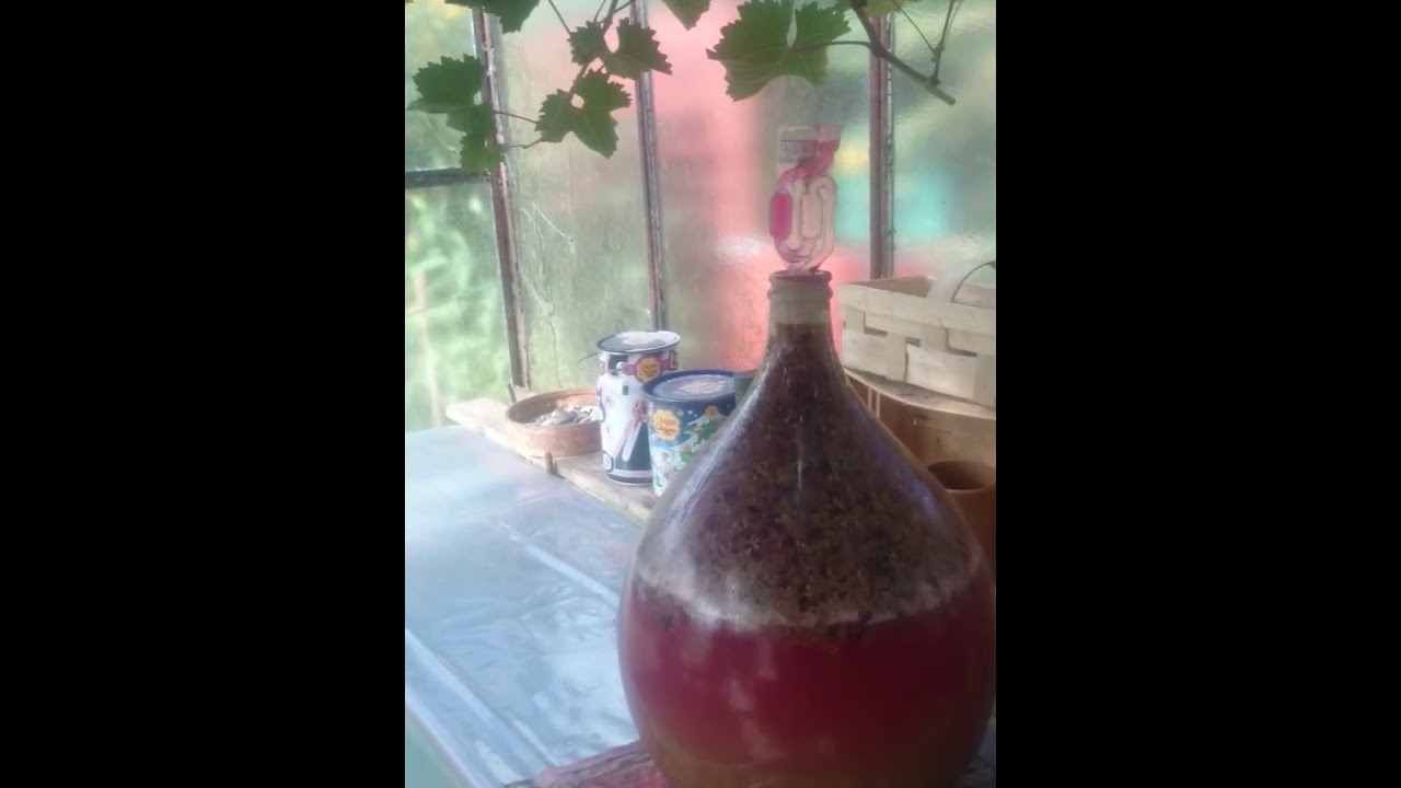 Burzliwa fermentacja wina