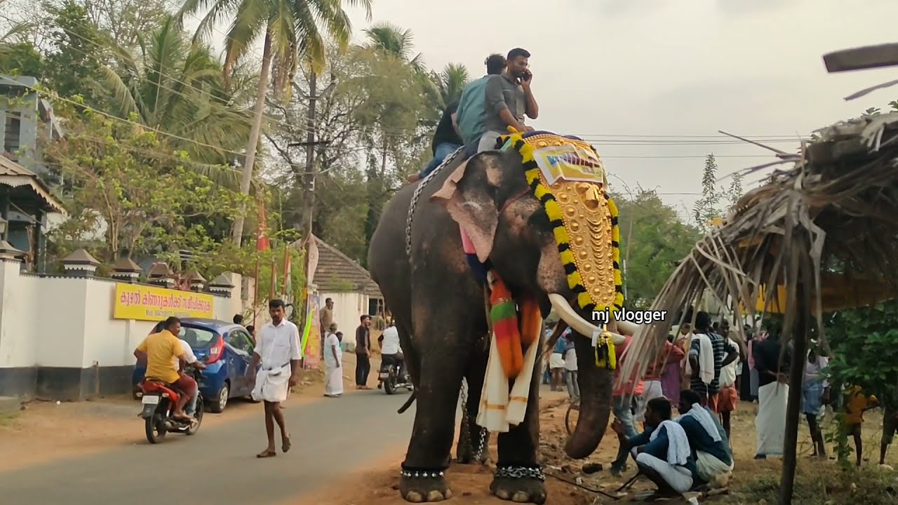 തെരുവ് നേർച്ച, പുതുക്കോട് ഖാദർ  ഔലിയ  ചന്ദനക്കുടം നേർച്ച 2022 puthucode fest part 1 #mjvlogger