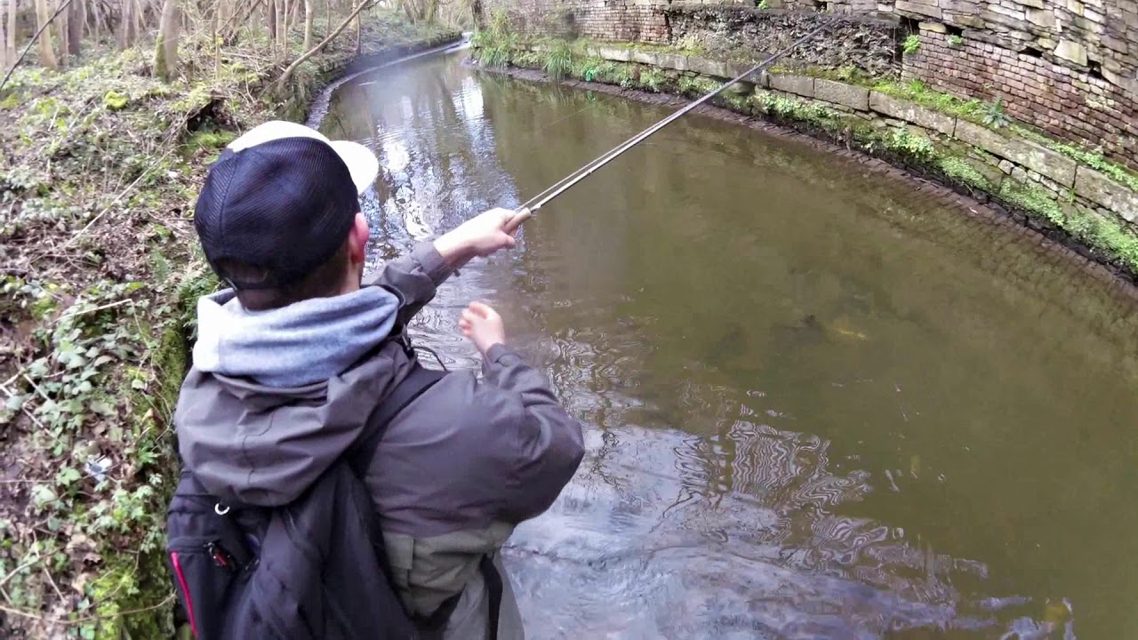 Big Early Season Trout 2020