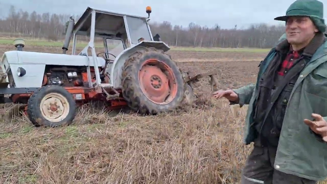 URSUS C-330 KOMPRESSOR🤬 wyciąga David Brown 996💪💪🙈🙈🙈🙈🙈 Zakopany podczas orki😠😠😠