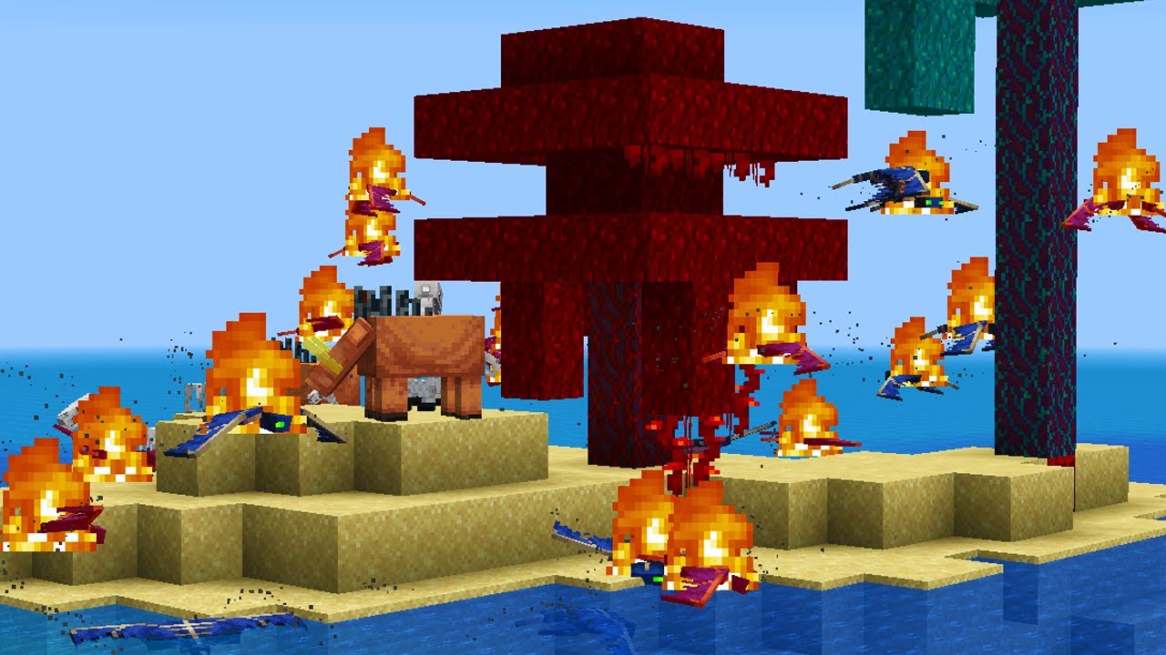 we played Minecraft 1.16 on an island but it did not go well