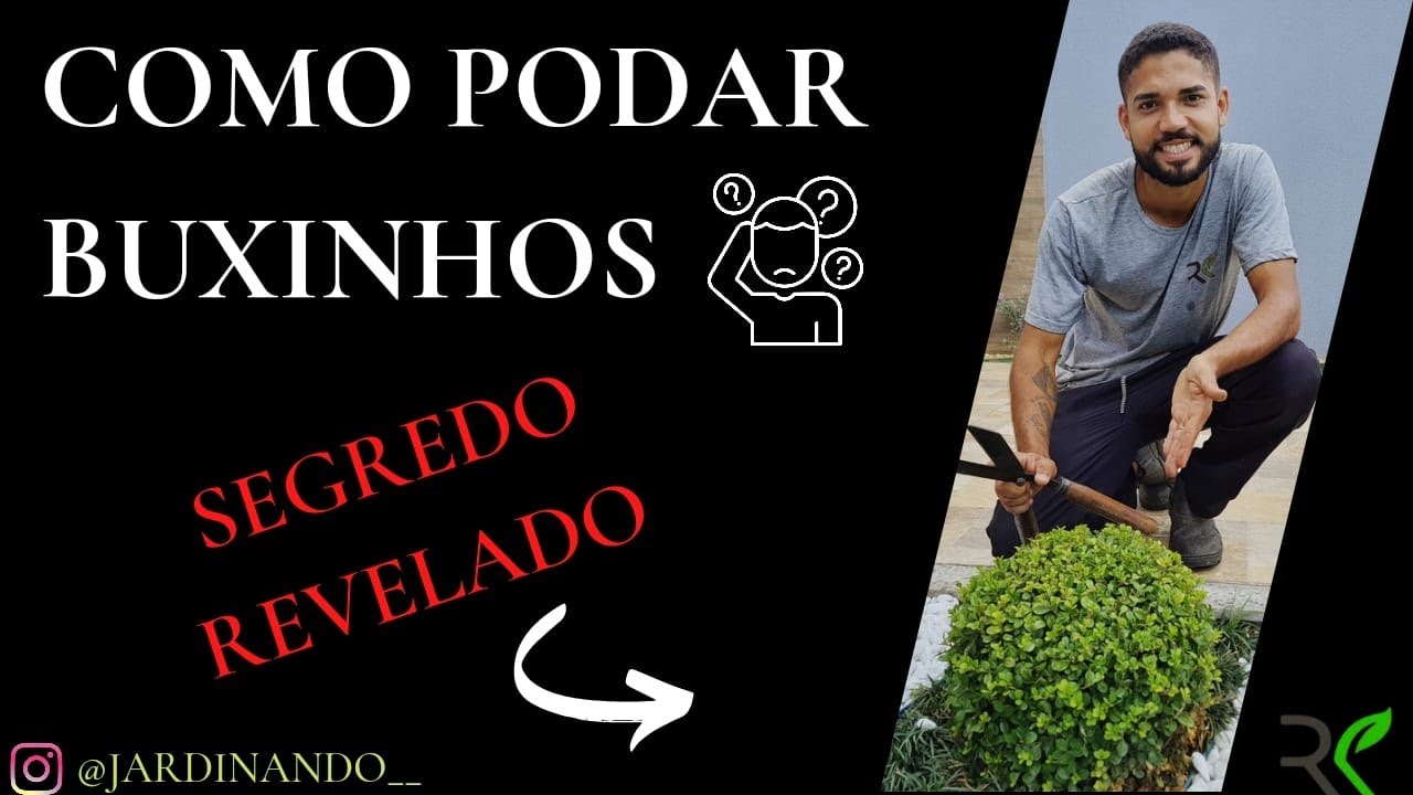 Dicas para a poda de buxinho [JEITO CERTO]
