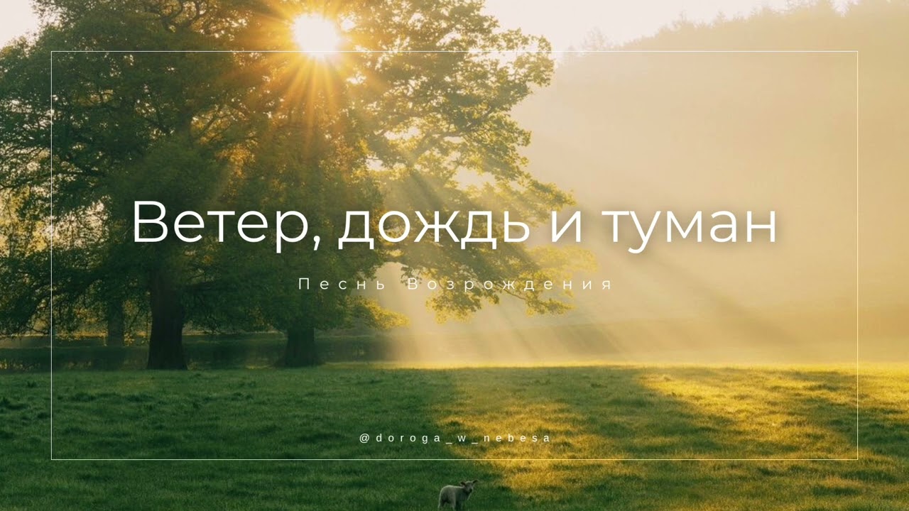 Ты пришёл в этот мир | Премьера✨