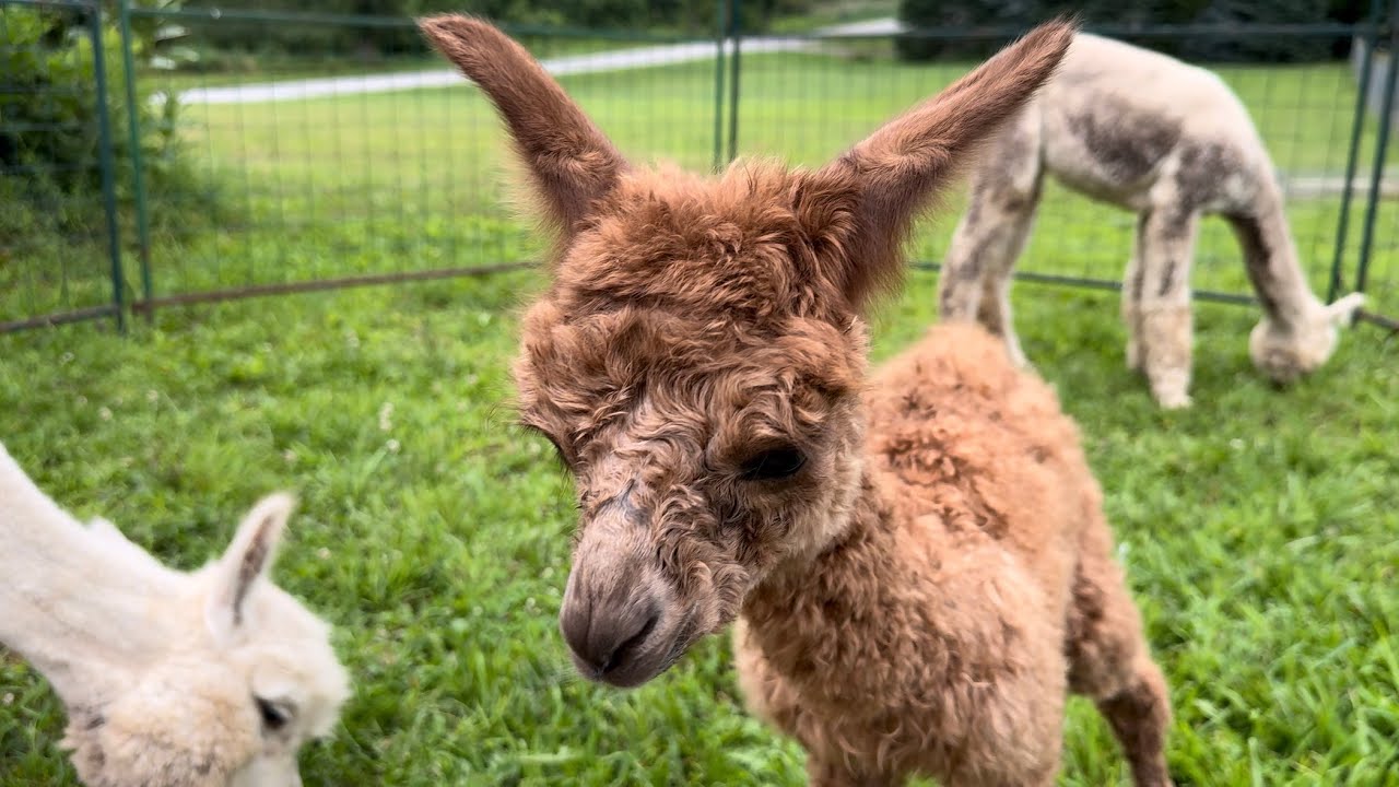 Baby Ellie’s first day.