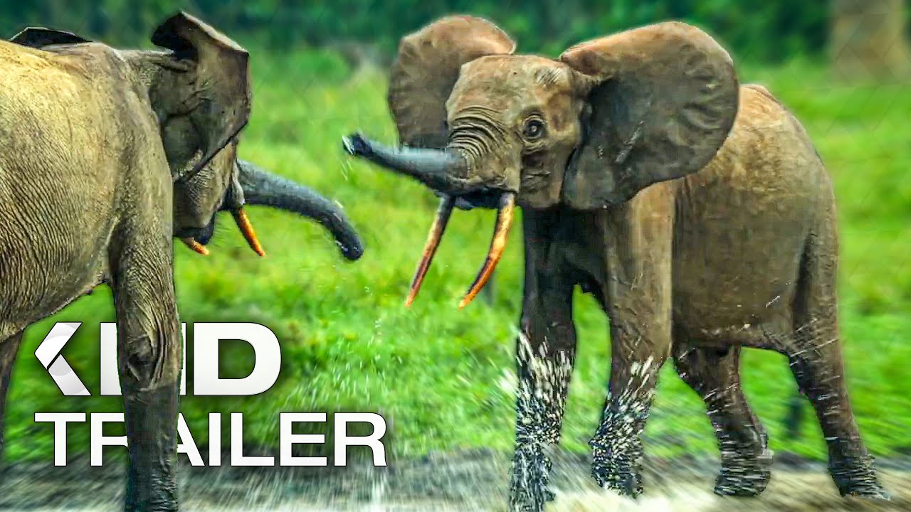 TIERE HAUTNAH MIT BERTIE GREGORY Trailer German Deutsch UT (2023)