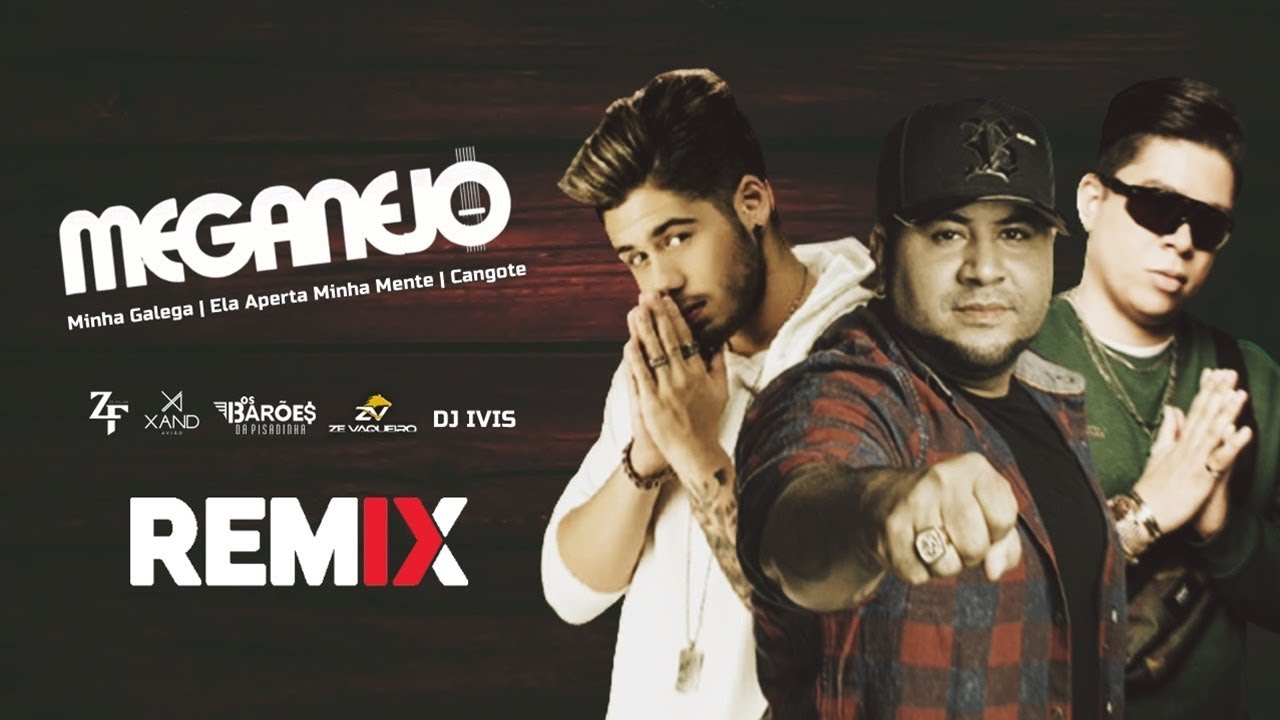 MEGA PANCADÃO #006 | Zé Felipe, DJ IVIS, Xand Avião, Os Barões, Zé Vaqueiro | By. DJ DuLLy Remix