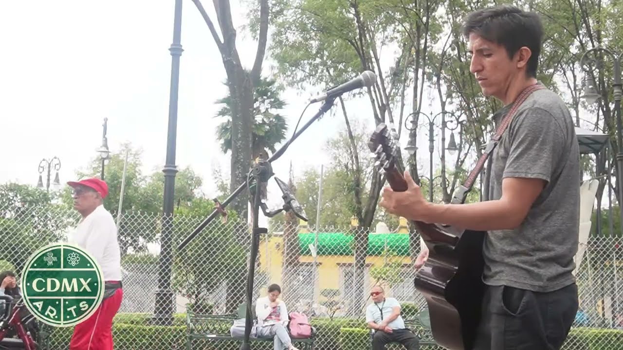 La Flaca - Jarabe de Palo | Alan Dávila | Busker in Mexico City 