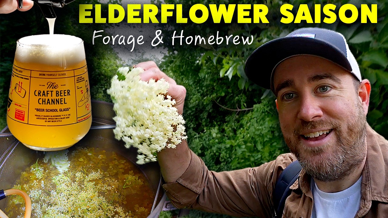 Foraging & brewing an elderflower saison