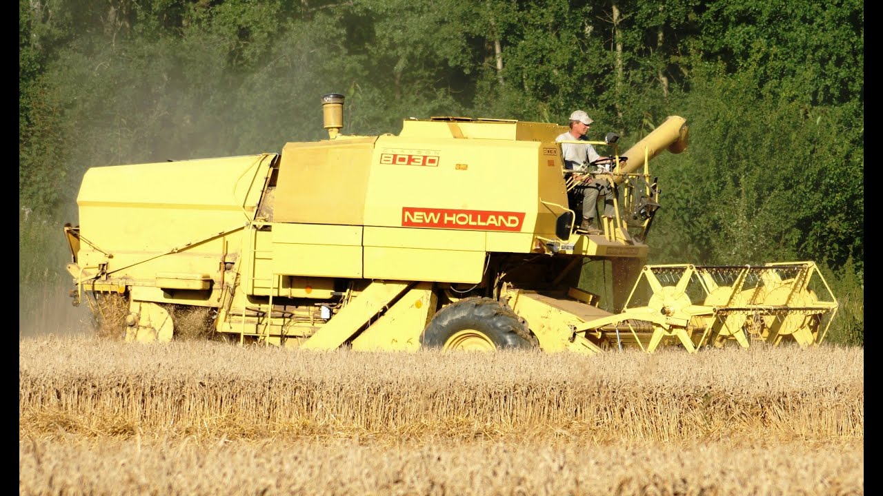Mähdrescher New Holland 8030 Cabrio bei der Weizenernte in der Lüneburger Heide