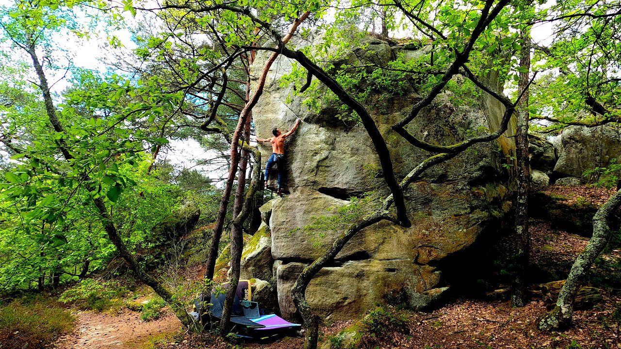 The best boulder in Fontainebleau, Polypnée 7c