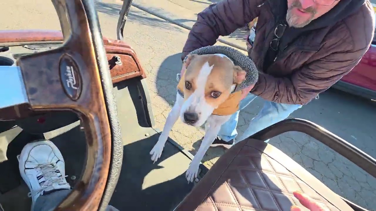 Just a cold start and ride around the culdisac in my 2008 Yamaha Golf Cart 