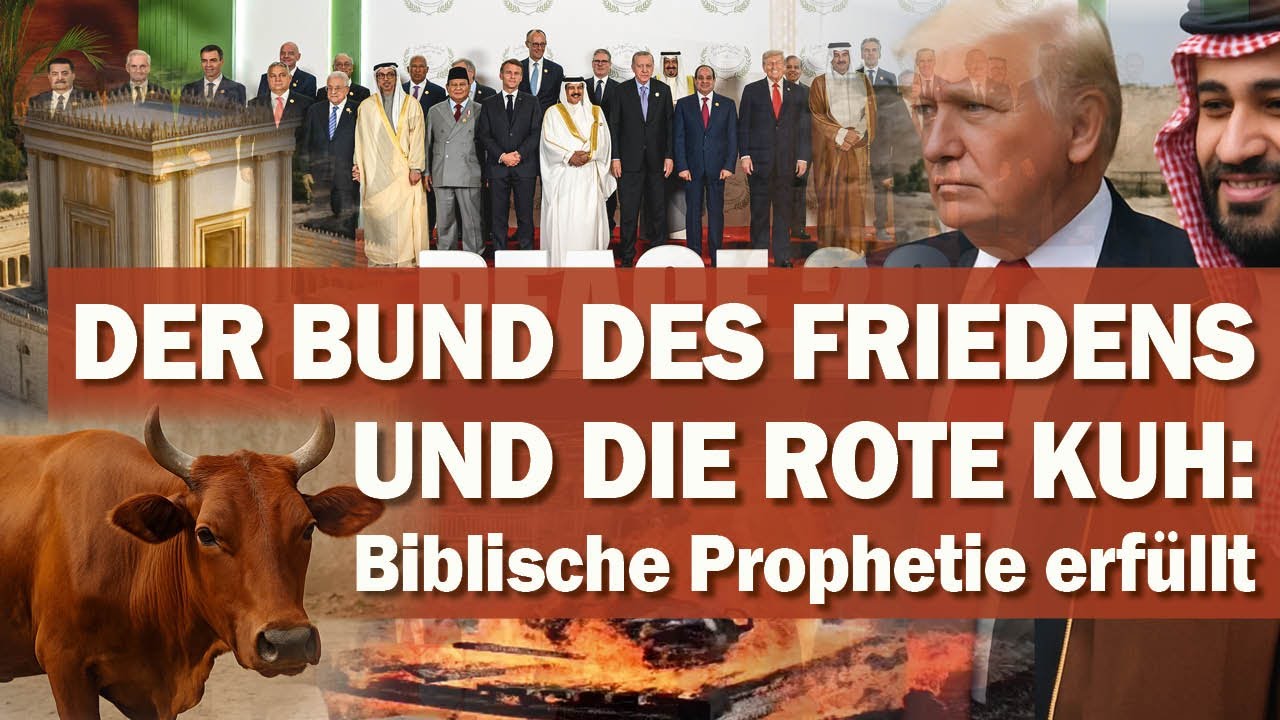 Der Bund des Friedens und die rote Kuh in Israel: Biblische Prophetie erfüllt