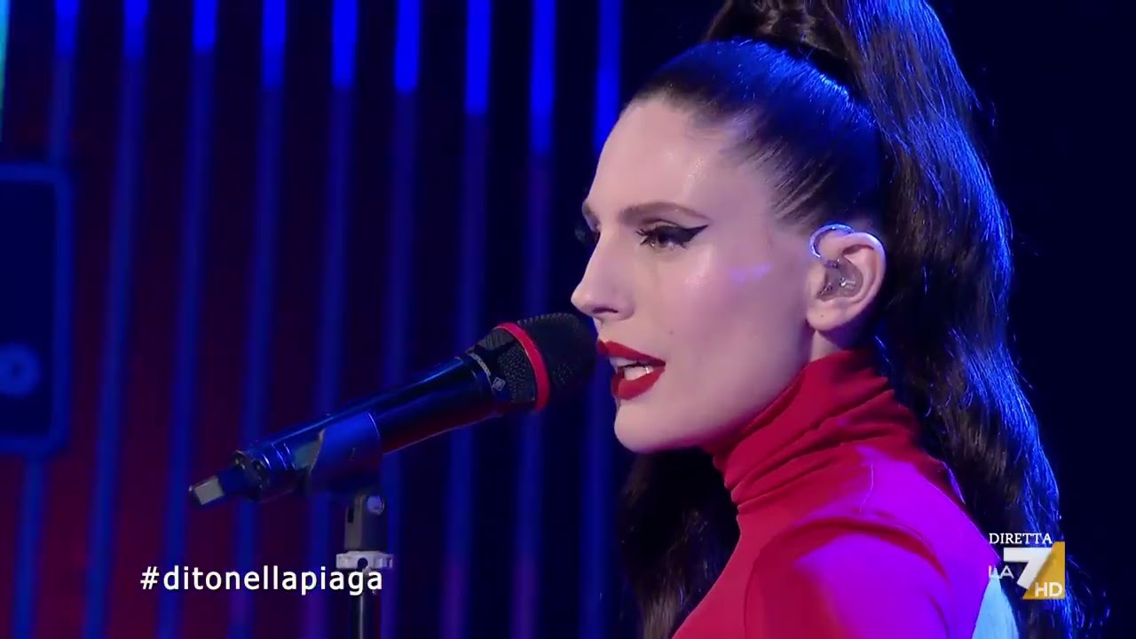 Ditonellapiaga - 