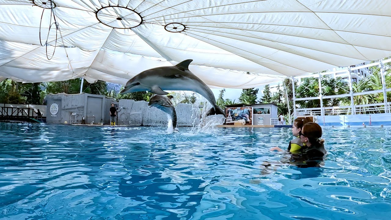 Delphin Therapie Türkei ( Cassandra )