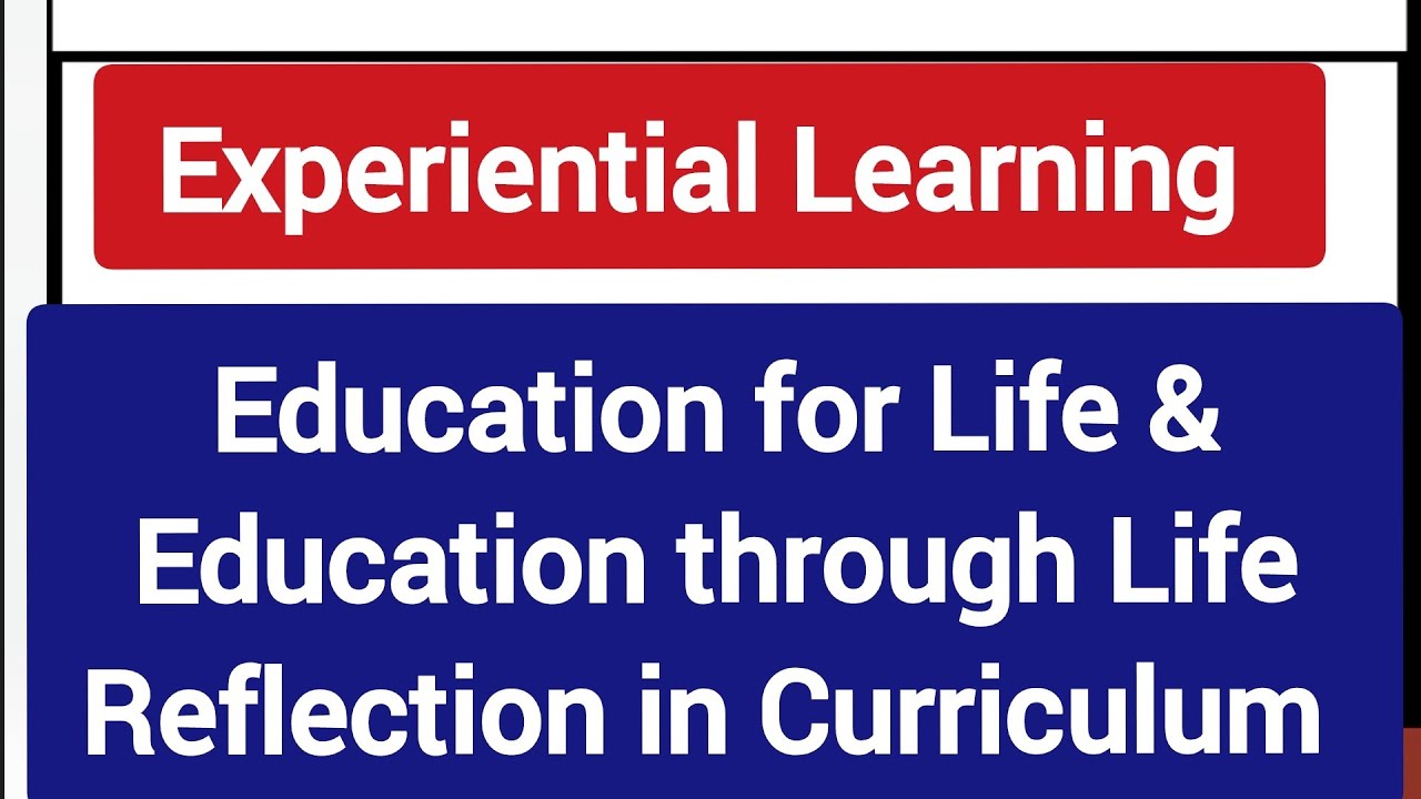 Experiential Learning|Education for Life and Through Life's Reflection in Curriculum|Shyna Goyal