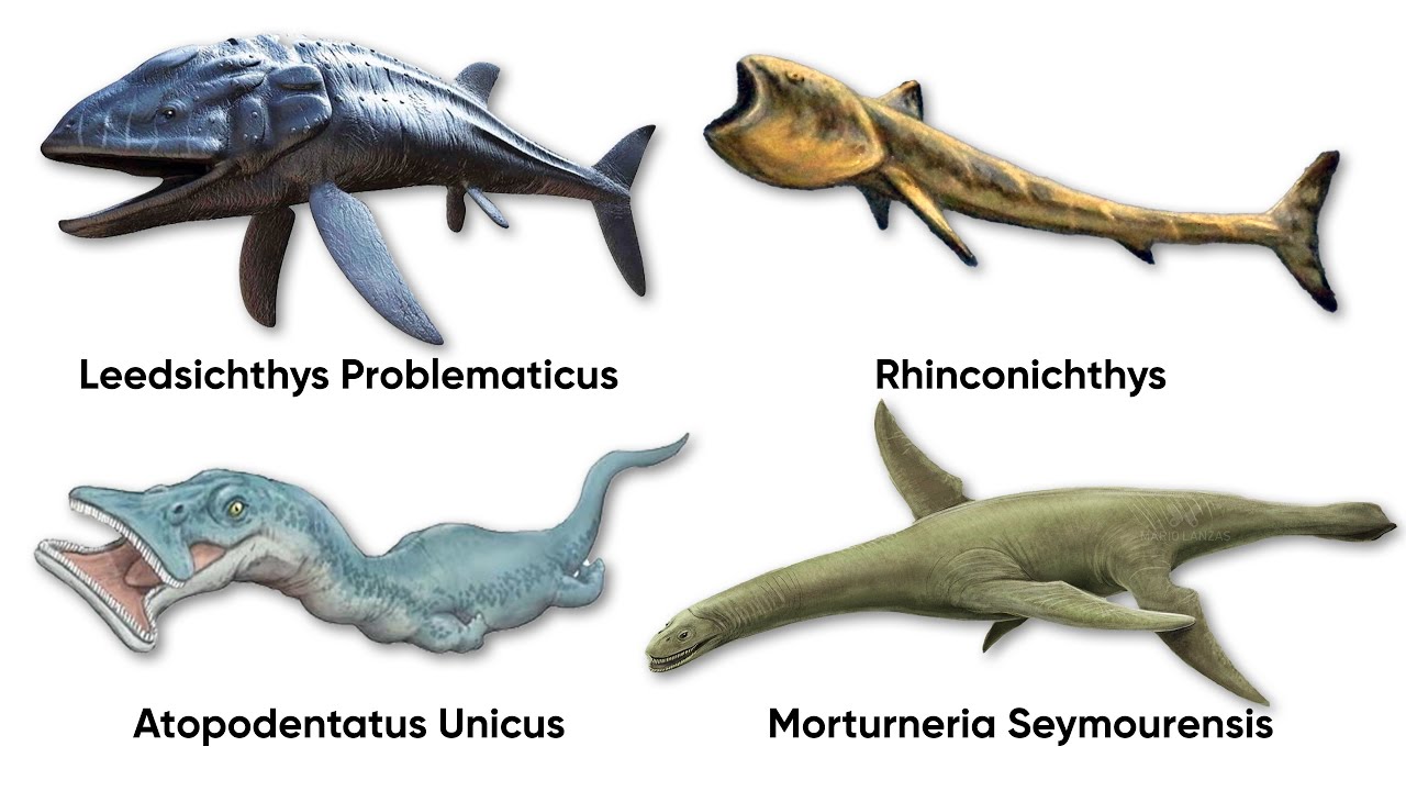 Every Deadliest Giant Filter-Feeding Animal Explained